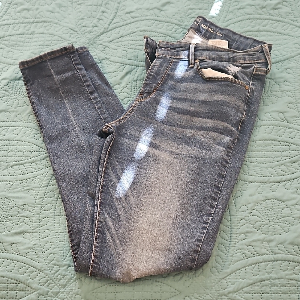 Signature by Levi Strauss Blue Denim Jeans